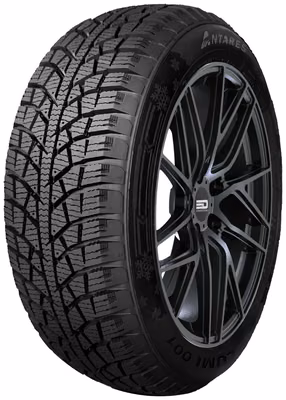 ANTARES LUMI 001 205/55R16 91H 3PMSF RP