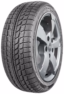 SUNNY NW103 225/70R15C 112R 3PMSF