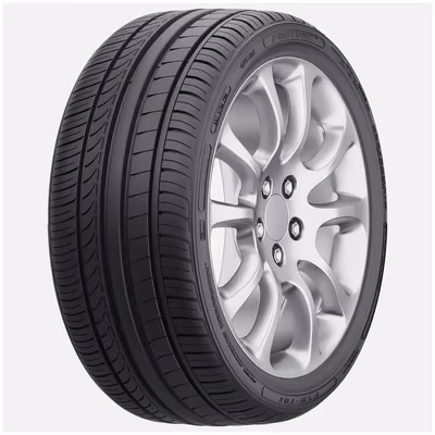 FORTUNE FSR701 225/45R18 91W RP
