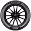 Pikkukuva 4